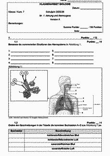 Vorschau Seite 1