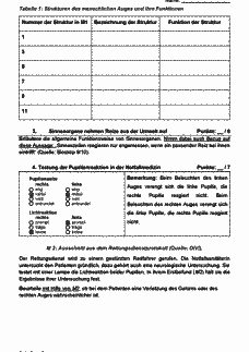 Vorschau Seite 2