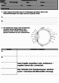 Vorschau Seite 1