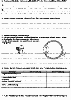 Vorschau Seite 2