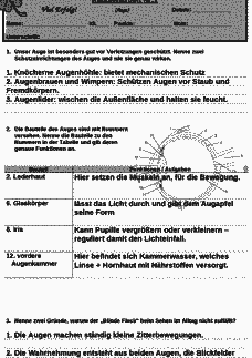 Vorschau Seite 1