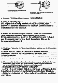 Vorschau Seite 3
