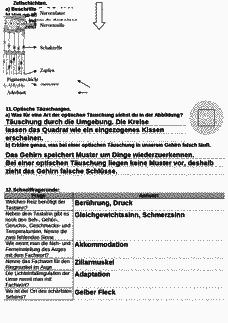 Vorschau Seite 4