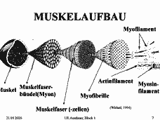 Vorschau Seite 7
