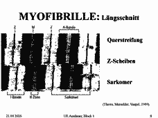 Vorschau Seite 8