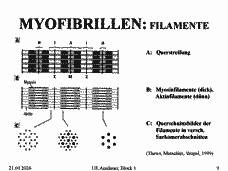 Vorschau Seite 9