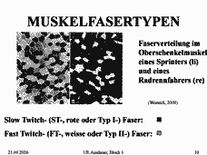 Vorschau Seite 10