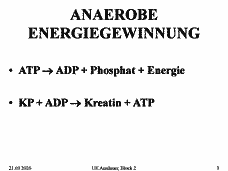 Vorschau Seite 3
