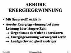 Vorschau Seite 5
