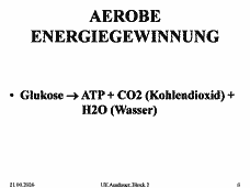 Vorschau Seite 6