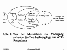 Vorschau Seite 8