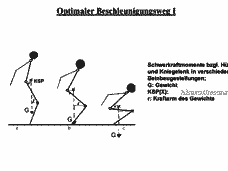 Vorschau Seite 1