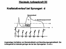 Vorschau Seite 5