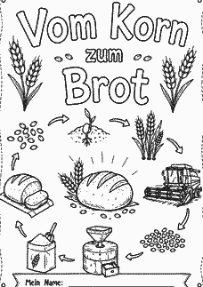 Vorschau Seite 1