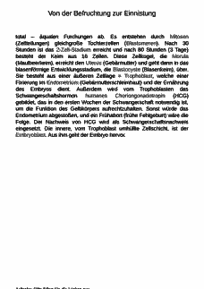 Vorschau Seite 2