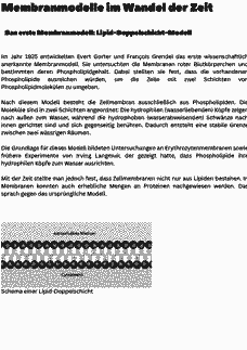 Vorschau Seite 1