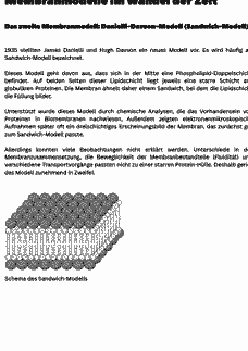 Vorschau Seite 2