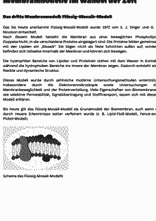 Vorschau Seite 3