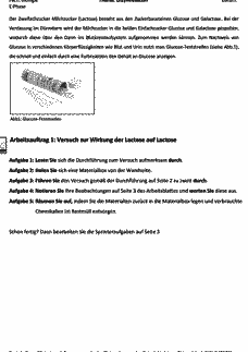 Vorschau Seite 1
