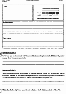 Vorschau Seite 3