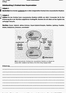 Vorschau Seite 4