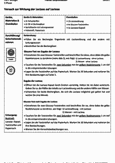 Vorschau Seite 2