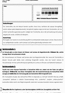 Vorschau Seite 3