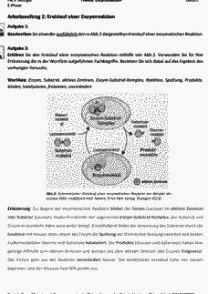 Vorschau Seite 4