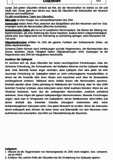 Vorschau Seite 1