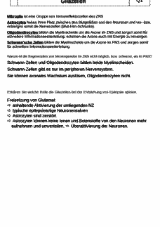 Vorschau Seite 2