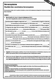 Vorschau Seite 1