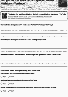 Vorschau Seite 1