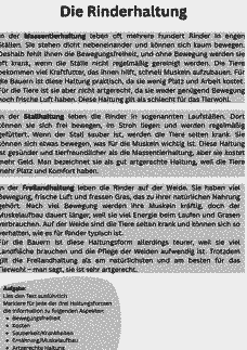 Vorschau Seite 1