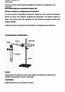 Vorschau Seite 1