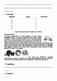 Vorschau Seite 2