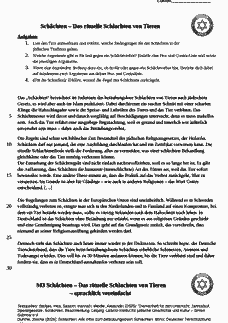 Vorschau Seite 1