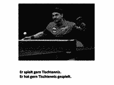 Vorschau Seite 12