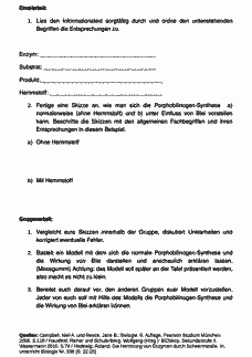 Vorschau Seite 12