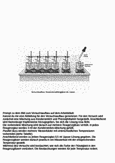Vorschau Seite 6