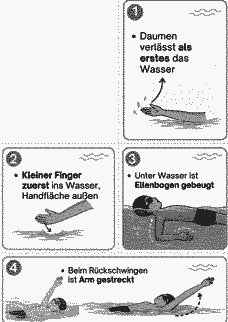 Vorschau Seite 12