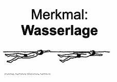 Vorschau Seite 13
