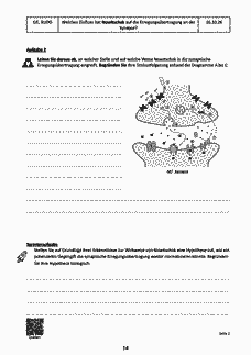Vorschau Seite 16