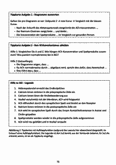 Vorschau Seite 17