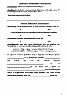 Vorschau Seite 6