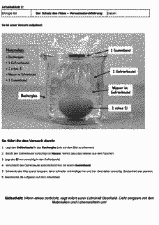 Vorschau Seite 8
