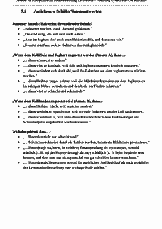 Vorschau Seite 17