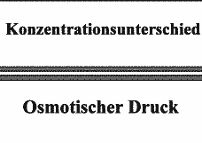 Vorschau Seite 12