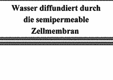 Vorschau Seite 13