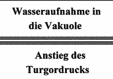 Vorschau Seite 14