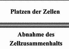 Vorschau Seite 15